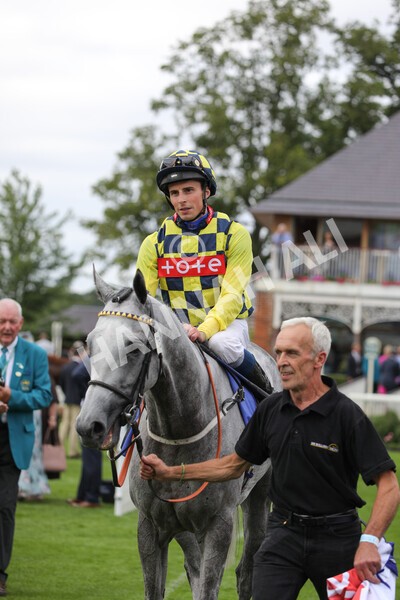 yr17082022r5-54 - Race 5 4.10pm Sky Bet Stayers Stakes