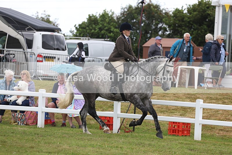 3E7A1440 - Class 9: Open Hunter