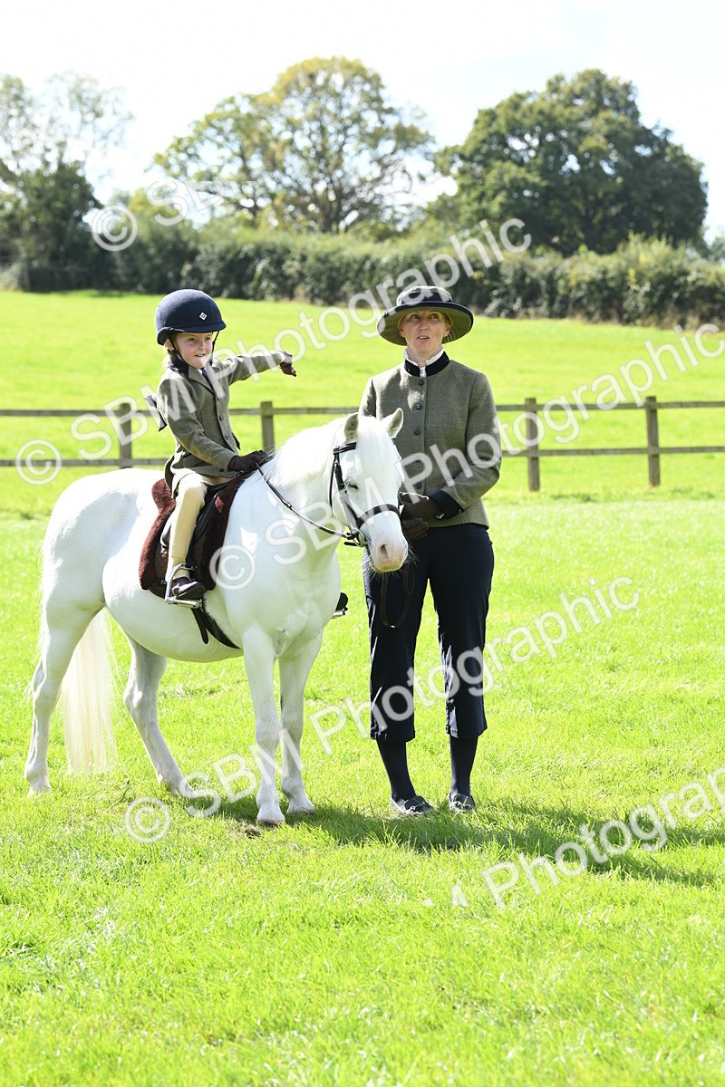 SBM_42602 - S20 - Lead Rein Mountain & Moorland Pony