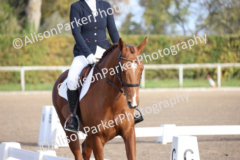 20251101-0102 - Class 1 - Intro 1