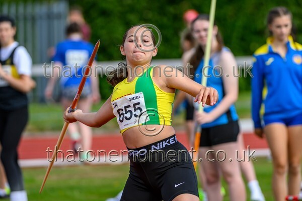 Age25SAT-926217 - Field Female Set One