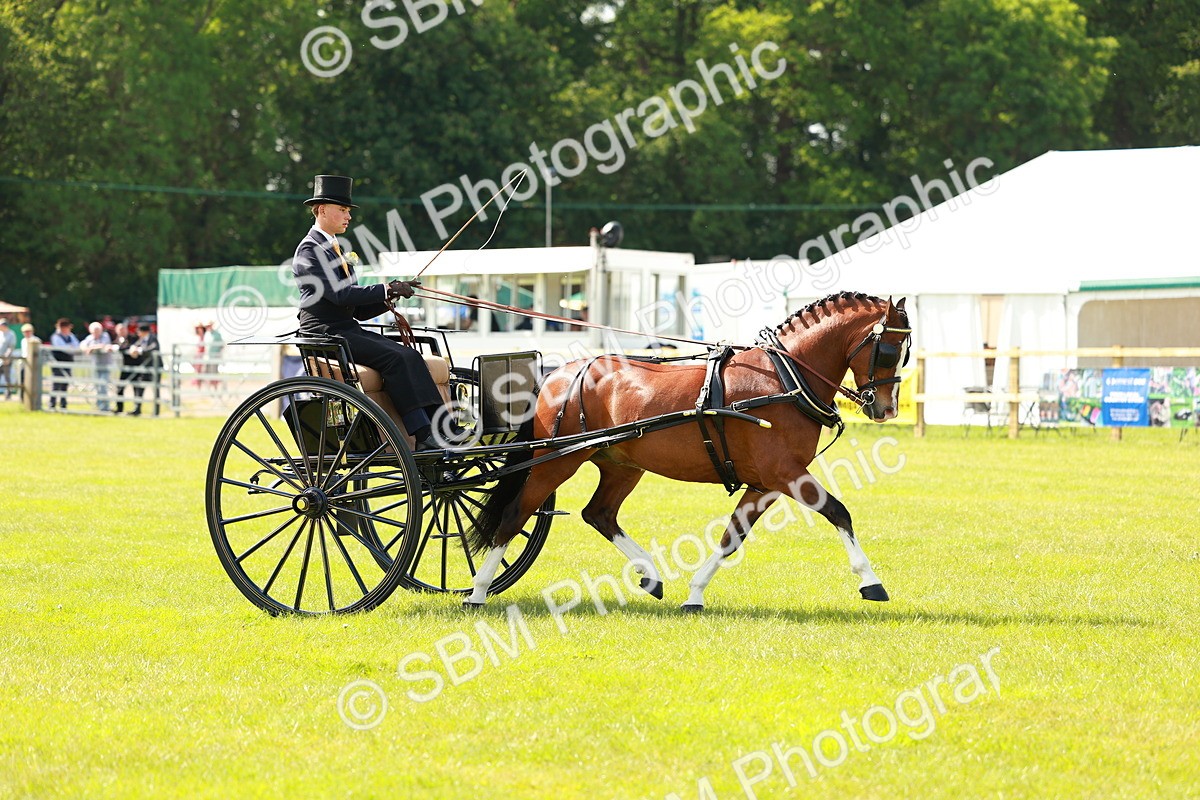 SBM_02698 - Class 2-4 - HOYS Private Driving