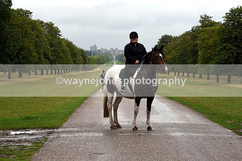 TT3_8192 - Time at Crossing 09:15 to 10:15