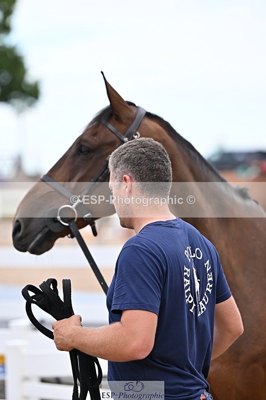 250716-140958-00944 - Trot Up 1.30 to 2.30