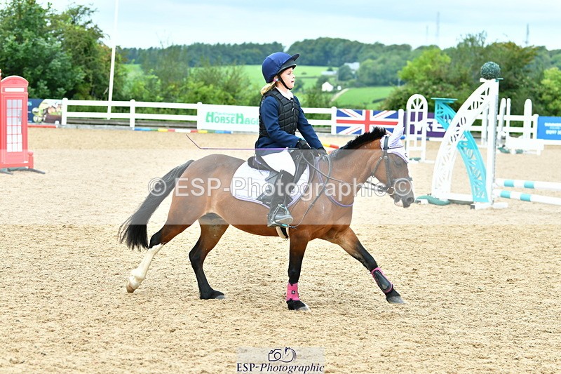 230804A-115633-02403 - Showjumping Competition