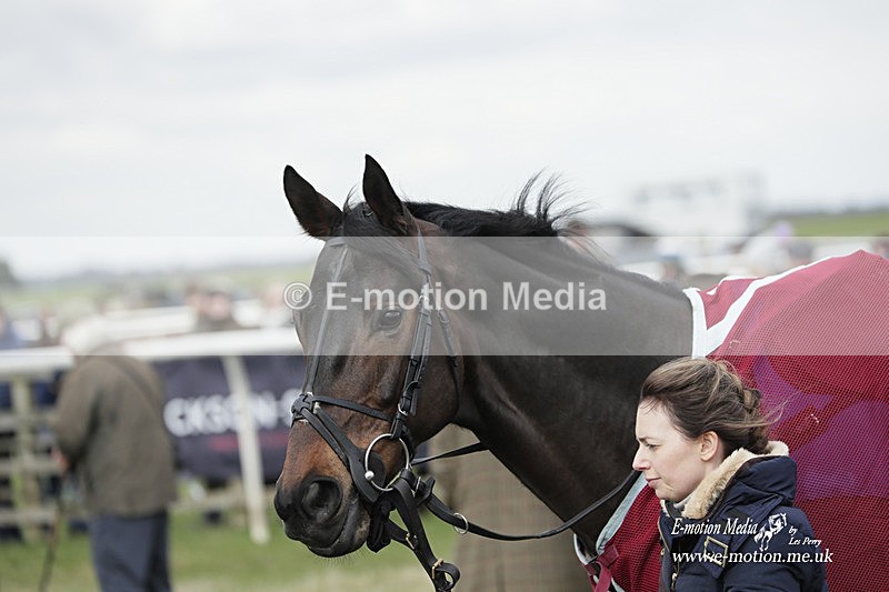 PtP 190323 517 - Oakley Hunt Point-to-Point Brafield-On-The-Green 19/03/23