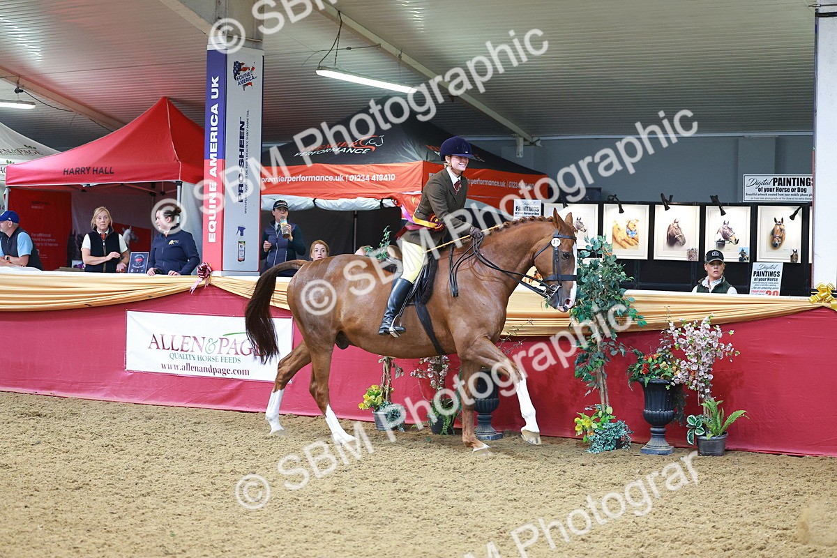 SBM_12717 - Class 103 - HOYS Veteran Qualifier - Ridden Pre Vet