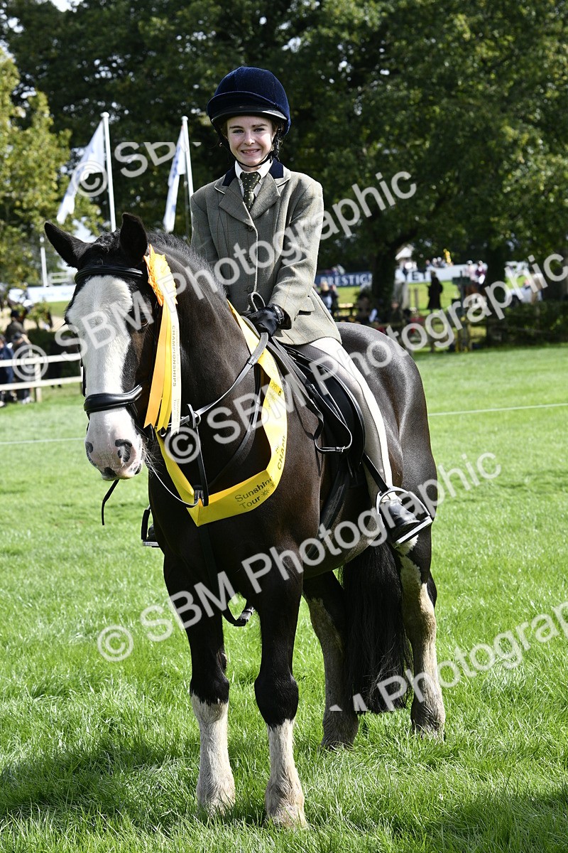 SBM_41643 - S32 - Mountain & Moorland Working Hunter Pony