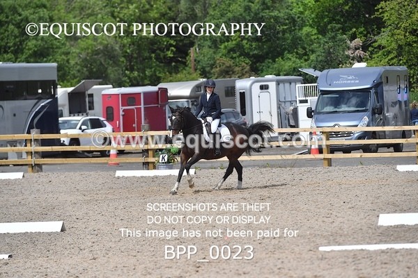 BPP_0023 - SHORT ARENA  MY QUEST PRELIM
