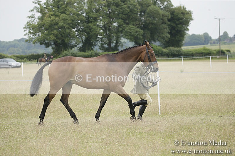 B230619-0825 - Bourne Valley Riding Club Summer Show 23/06/19