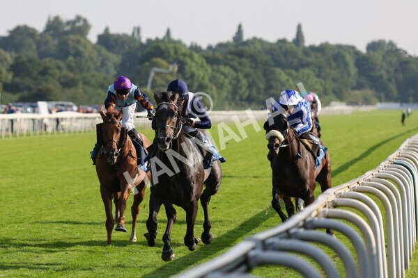 yr05092021r6-6 - Race 6 4.50pm Hanson Spring Stakes