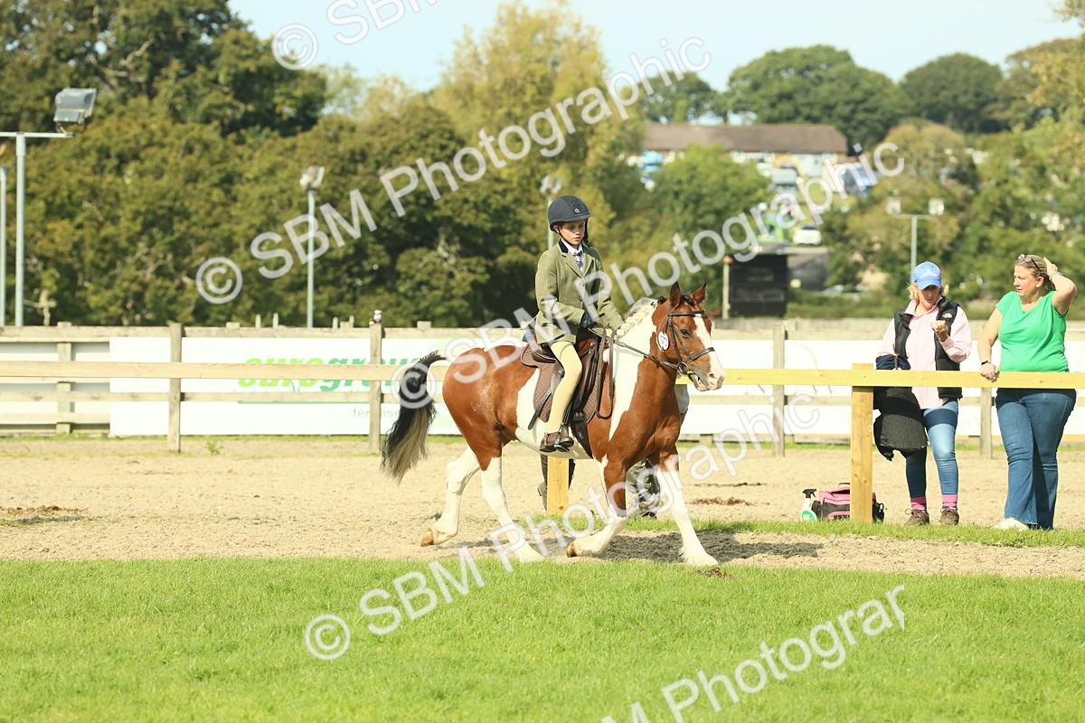 SBM_68913 - S58 - Mini Show Cob Ridden