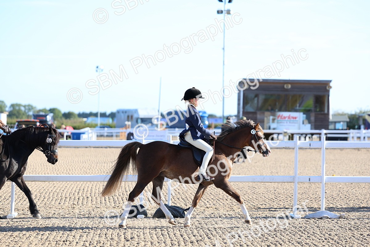 SBM_07790 - Class 301 - Ridden M&M - Small Breeds