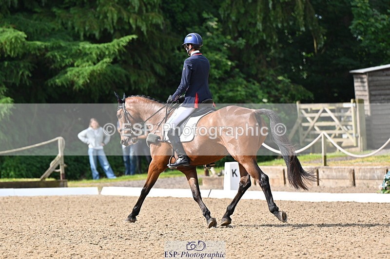 250523A-094034-05305 - C-258-Bill.Levett-ITALIAN.HARLEQUIN.NJ