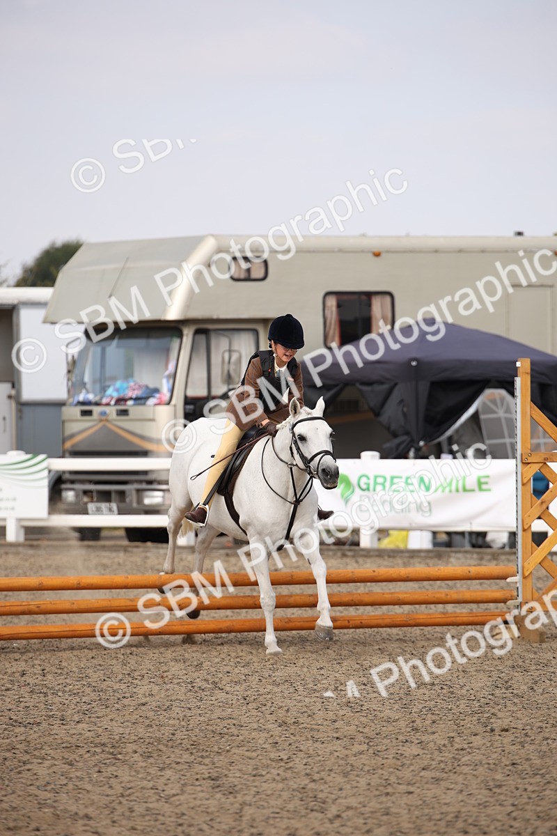 SBM_14255 - Class 407b - Working Veteran 60cm (20+)