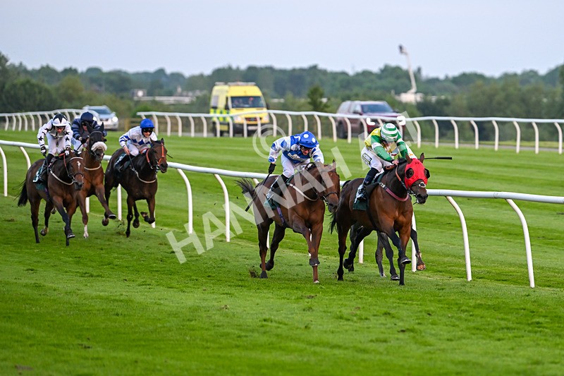 310524-Race 6-Mister Sox-9024 - Race 6