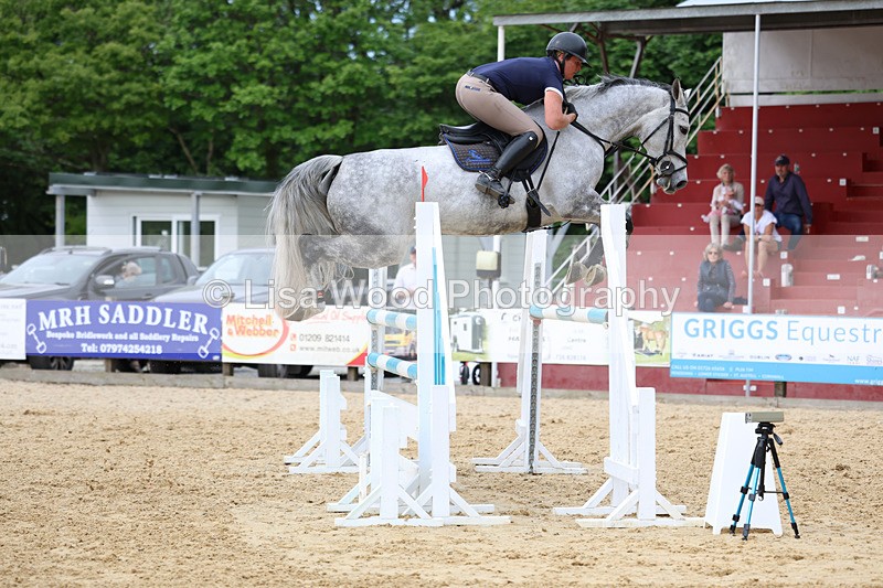 3E7A7593 - Class 8: Senior Foxhunter/1.20 open