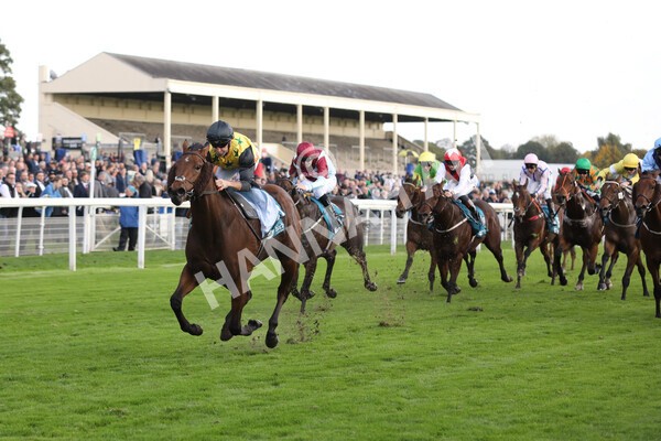 yr07102022r5-20 - Race 5 4.25pm Copper Knight Winningmost Horse Stakes