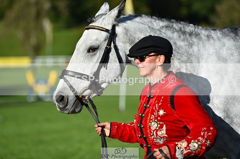 231022-105818-23635 - 411-MIDNIGHT.MOON.DANCER-Jacqueline.Cole-TrotUp+SJ