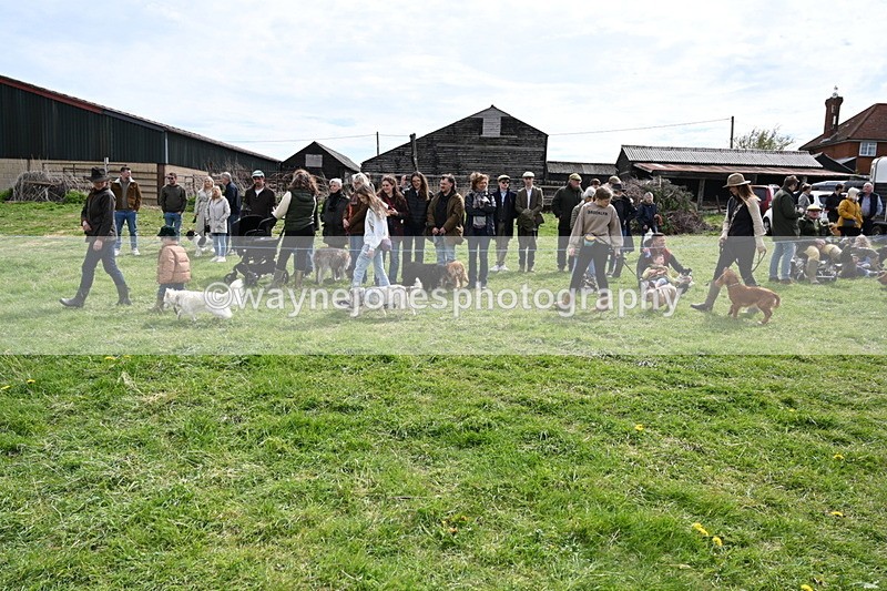 WJ6_8225 - Class 4 Prettiest Bitch