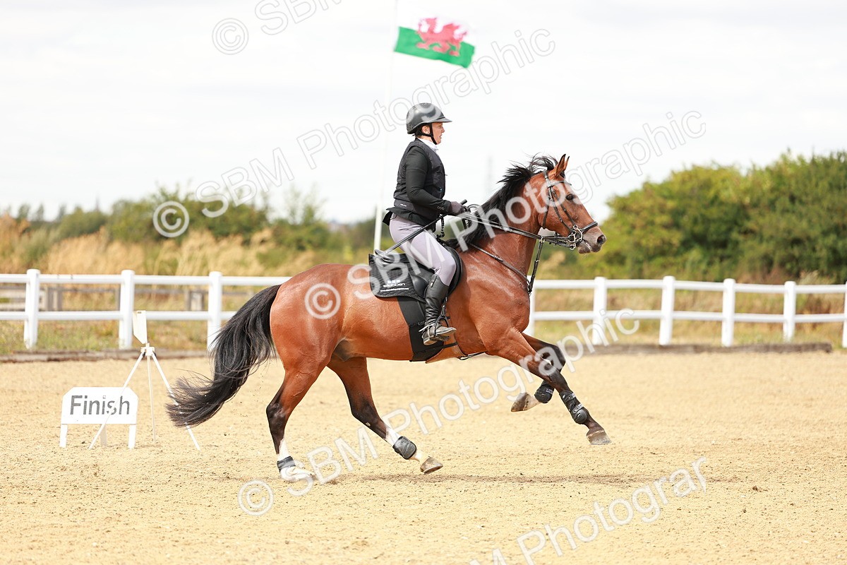 SBM_006707 - Class 4 - Senior British Newcomers - 1.10m