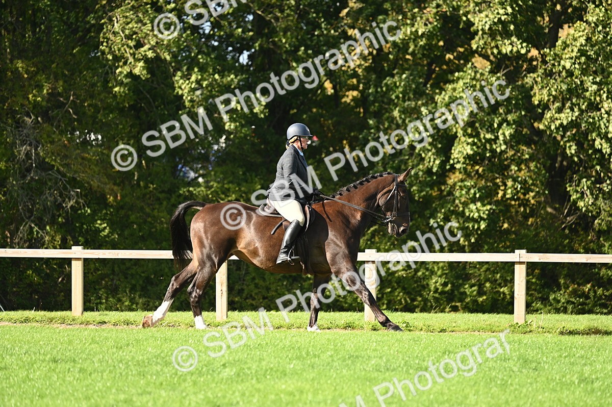 SBM_26436 - S6 - Novice & newcomer Ridden horse