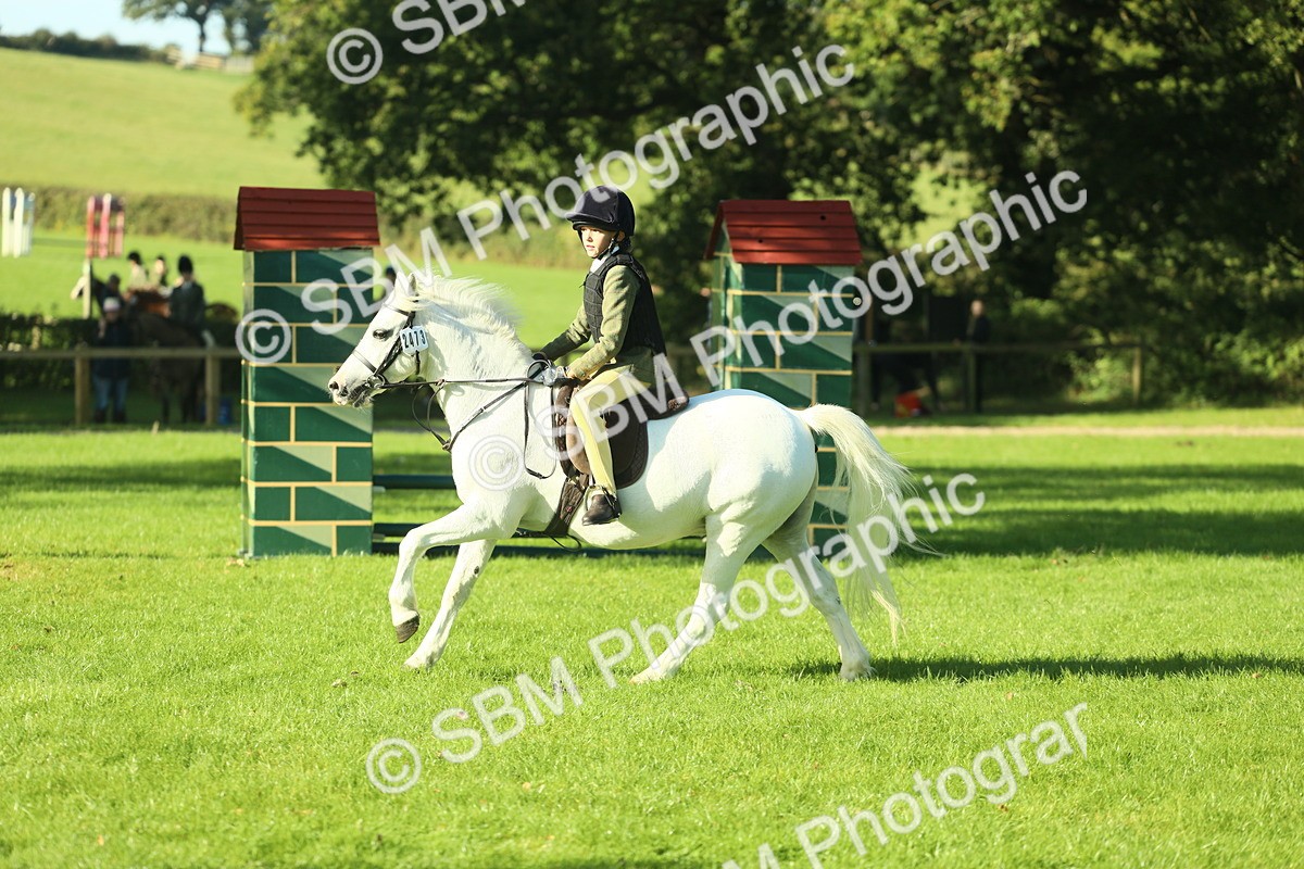 SBM_36386 - S29 - Novice & Newcomers Working Hunter Pony