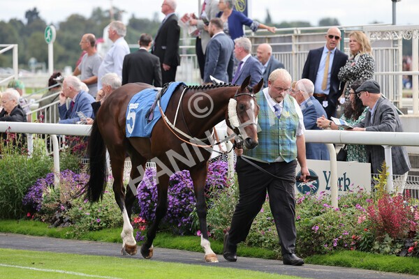yr24092021r5-2 - Race 5 3.50pm William Hill Leading On Course Bookmaker Stakes