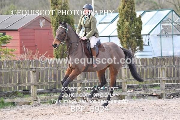 BPP_6924 - RING 1  (RIDDEN HORSES / IN HAND / VETERAN ETC)