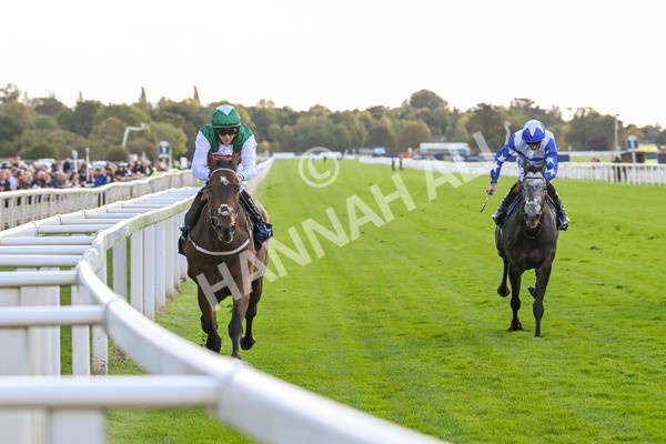 111024-Race 3-Minstrel Knight-1658 - Race 3 2.40pm William Hill Finale Handicap