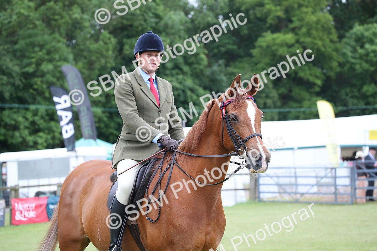 SBM_03646 - Class 21 - 22 - Ridden Arab and Part Bred/Anglo Arab