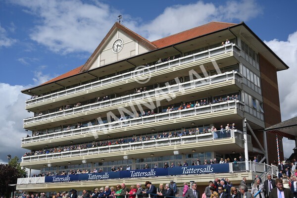 yr11052022r4-22 - Race 4 3.35pm Tattersalls Musidora Stakes