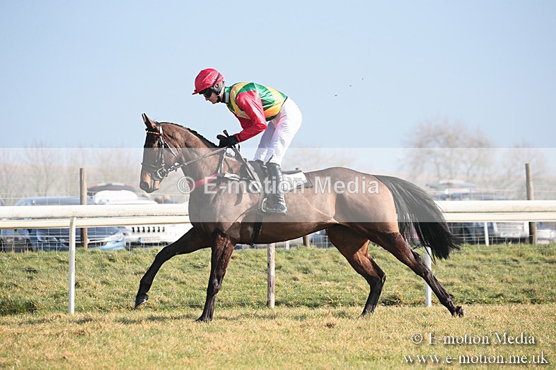 PtP 230219 30 - Vine & Craven Point-To-Point - Barbury 23/02/19