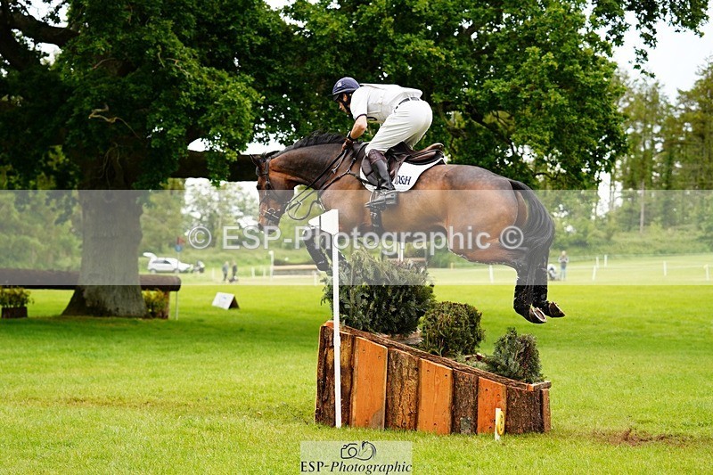 240525-170150-18987 - 260-WATERVALLEY_ROYAL_GUY-Harry_Meade
