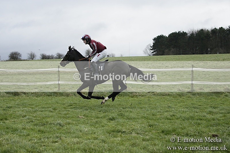 PtP 031217 216 - Hursley Hambledon Point-to-Point Larkhill 03/12/17