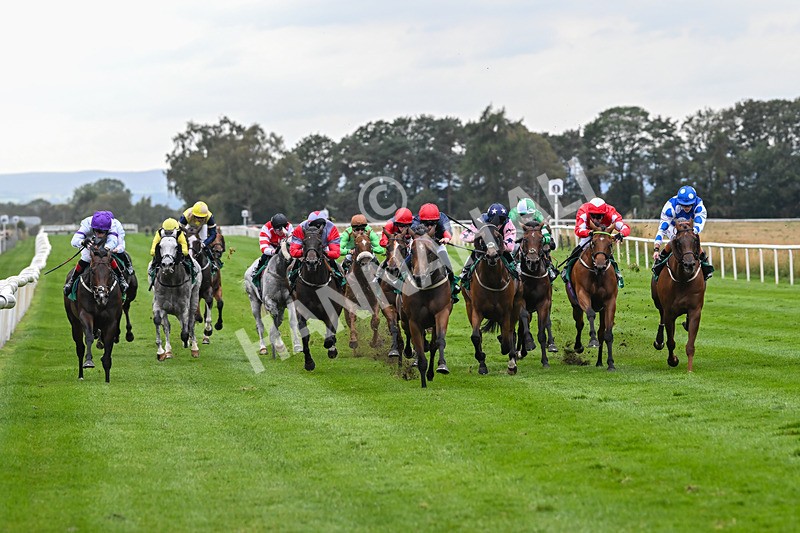 060925-Race 5-Eternal Sunshine-5848 - Race 5