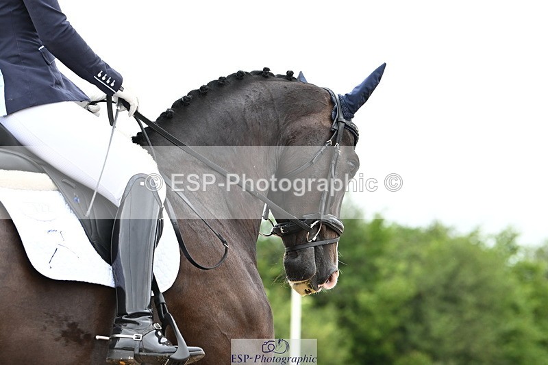 240623A-154014-19751 - Cls 54 BD Medium 73