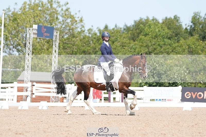 250817-122605-09327 - 050-Mollie.SheathTouch.Wood