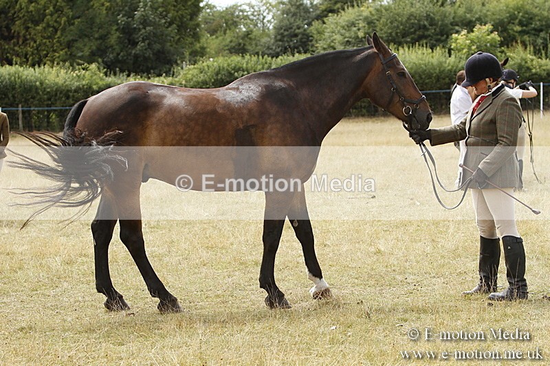 _BS_0972 - BVRC Show 2018 Ring 3