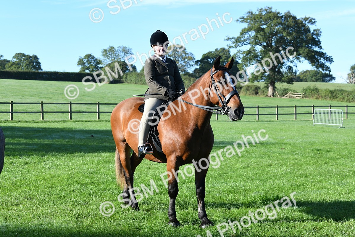 SBM_34028 - S16 - Condition & Turnout - Ridden