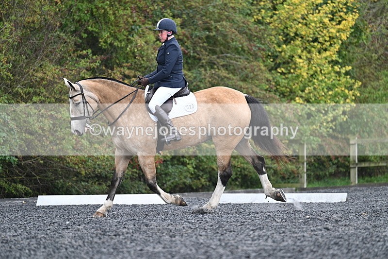 WJ7_4445 - Time 11:43 to 12:09