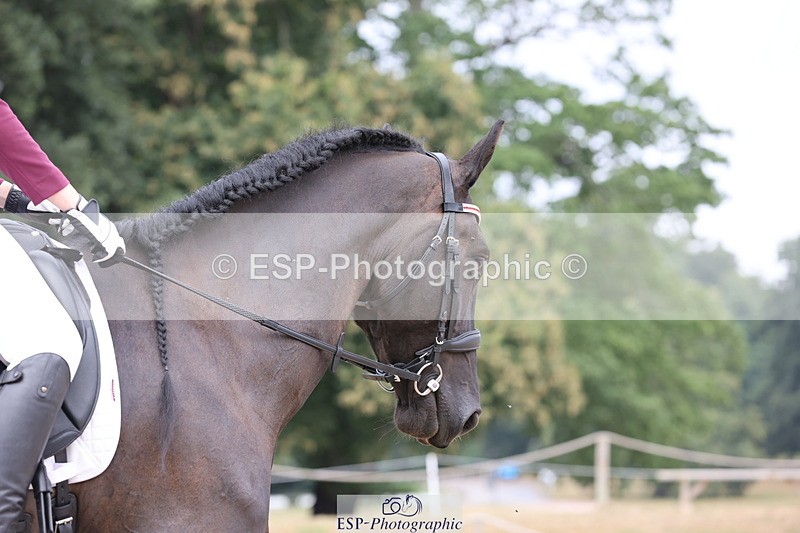 250718A-105955-00767 - 099-Paige.Beattie-Orcaber.Dark.Secret