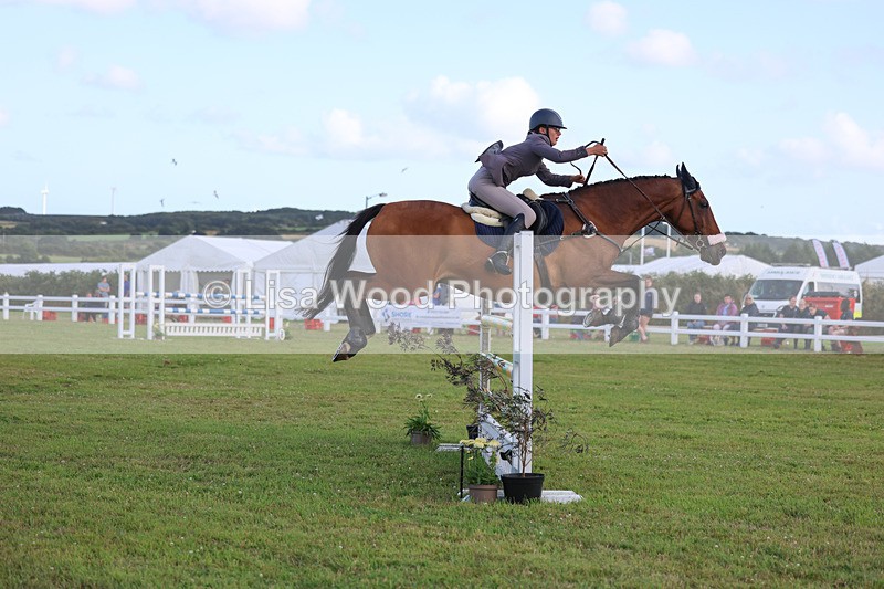 3E7A4725 - Class C1: Showjumping Senior Newcomers/1.10m open