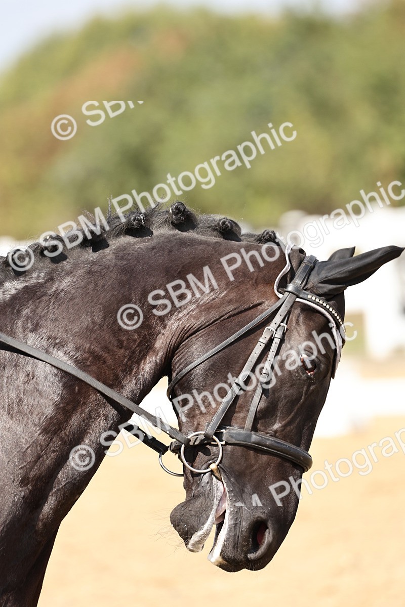 SBM_018701 - Class 16 - Novice 5 - 12.08-13.11