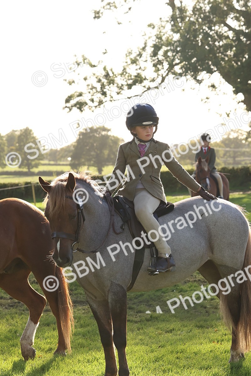 SBM_52660 - S13 - Pony Club Pony