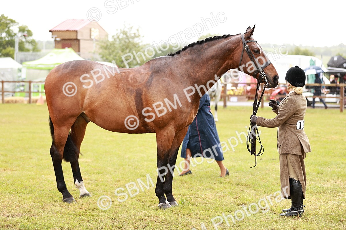 SBM_11002 - Class 81-84 - RIHS Ridden hunters Inc Ladies Hunter