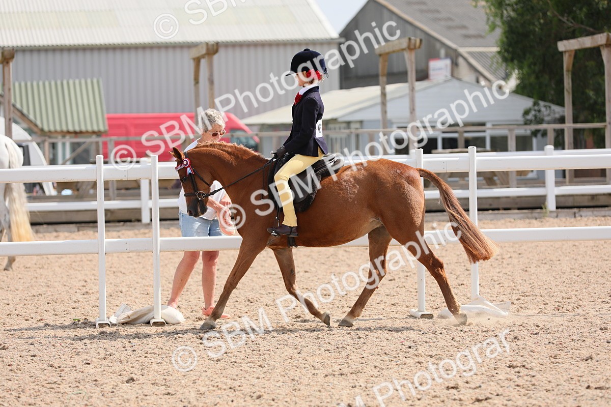 SBM_14757 - Class 310 First Ridden Pony