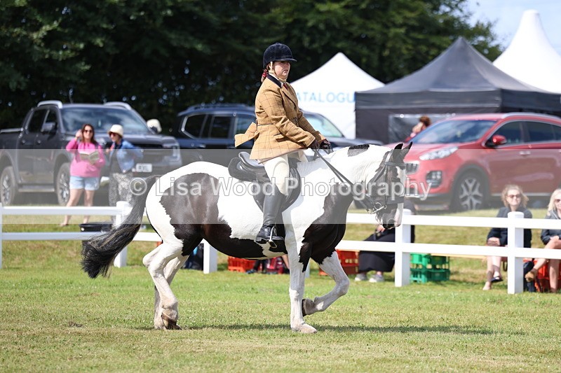 3E7A9682 - Class 5: Rising Star Lightweight/Heavyweight Cobs