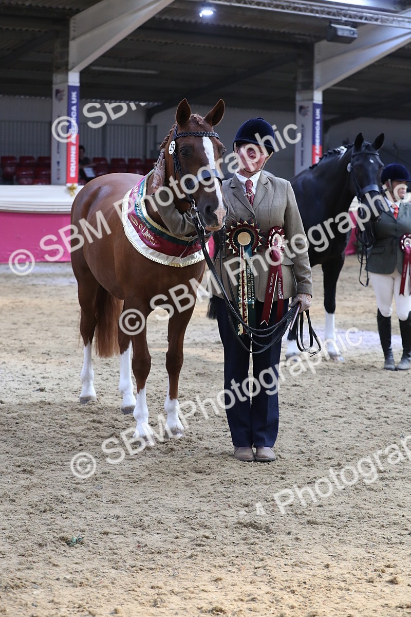 SBM_06573 - Regional IH Champ