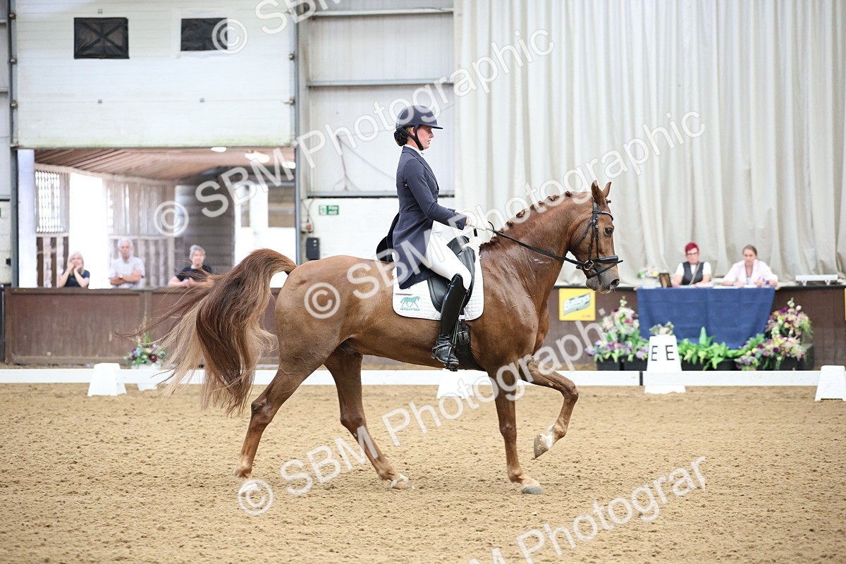SBM_004363 - Class 9 - FEI Inter 1 Gold - 15.55-16.43